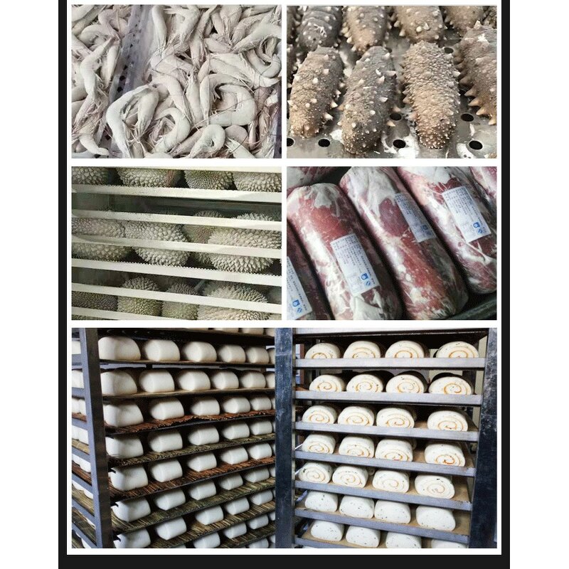 Blast Freezer Manufacturer - OEM/ODM -40 Degree Plate Ice Cream