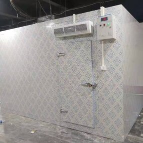 Blast Freezer Manufacturer - OEM/ODM -40 Degree Fast Freezing Shock