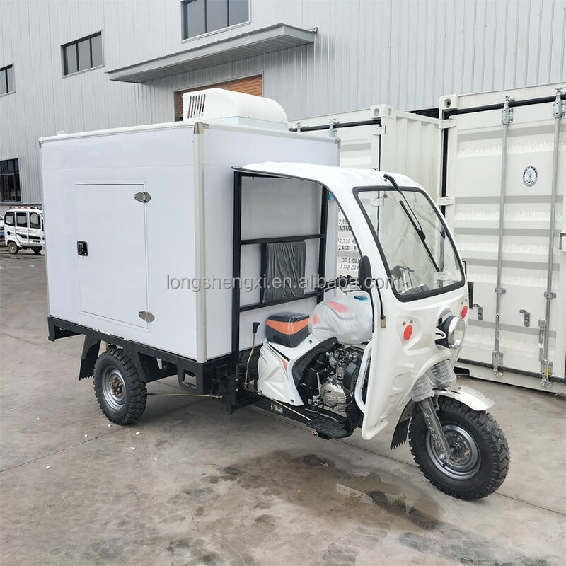 Refrigerated Tricycle Manufacturer - OEM/ODM Gasoline Petrol Diesel Cargo