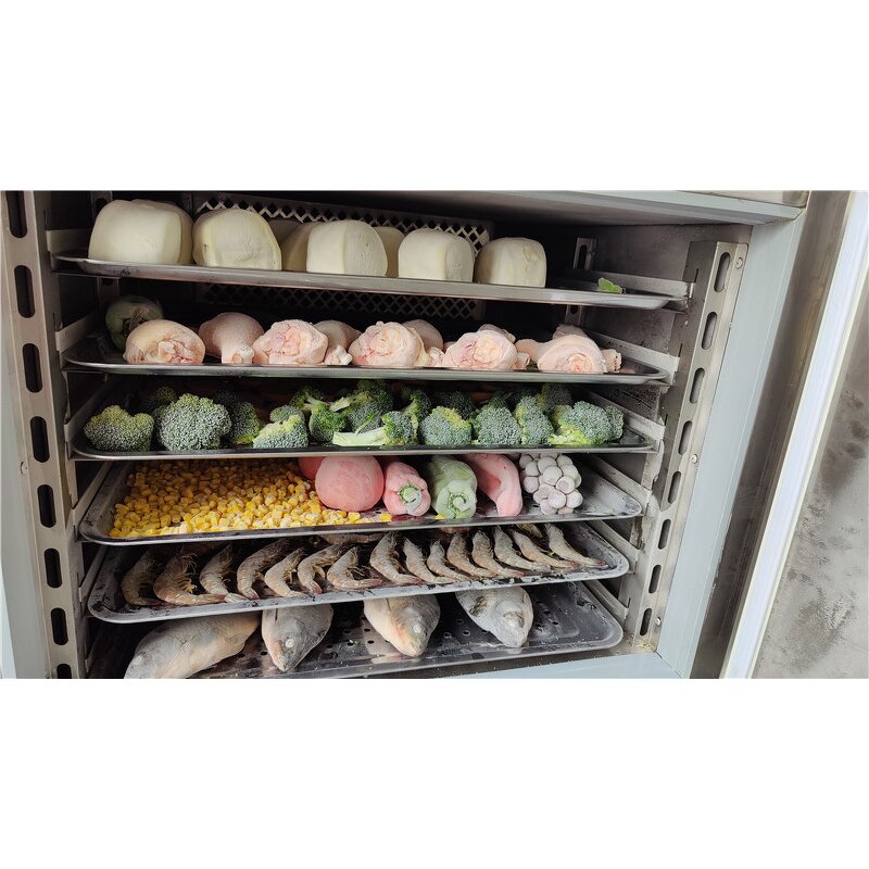 Shock Freezer Manufacturer - OEM/ODM Small Blast Chiller Mini IQF