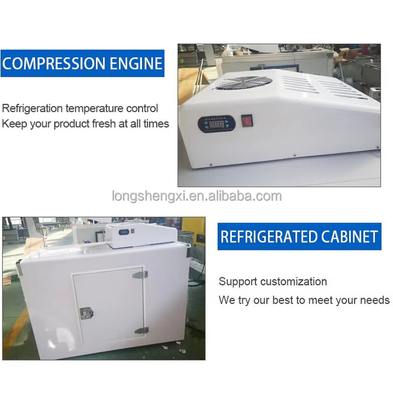 Solar Cooler Manufacturer - OEM/ODM Three-Wheel Fuel Motorcycles Cargo