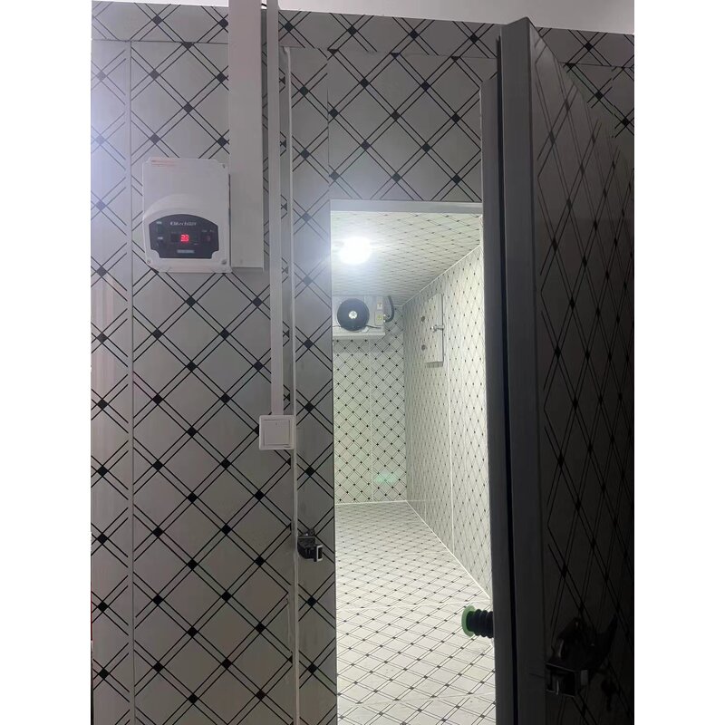 Walk-in Freezer Manufacturer - OEM/ODM Sliding Door Air Cooling