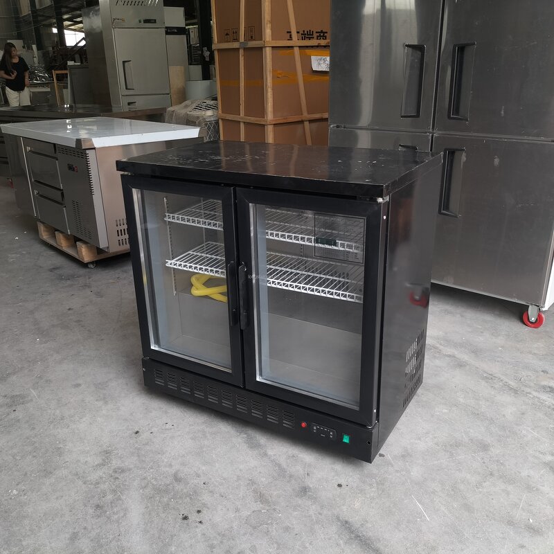 Glass Door Refrigerator Manufacturer - OEM/ODM Double Door Back Bar