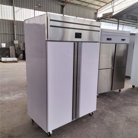 Stainless Steel Freezer Manufacturer - OEM/ODM 2-Door Vertical 220V/110V
