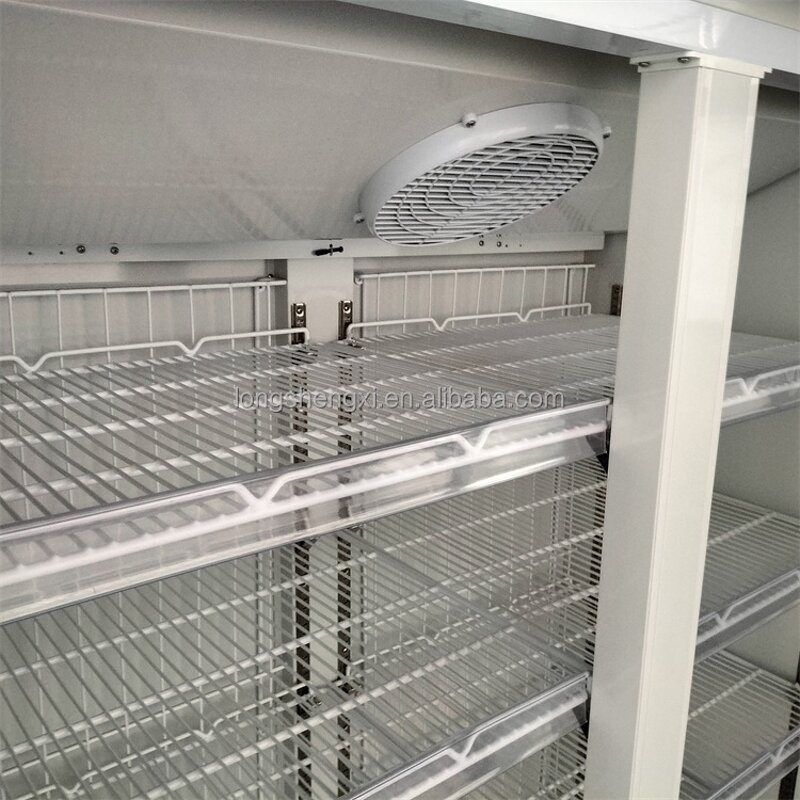 Ice Cream Freezer Manufacturer - OEM/ODM -22 Degree 2 Door