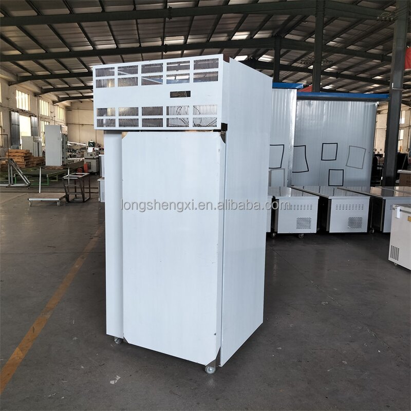 Blast Freezer Manufacturer - OEM/ODM Ultra-Low Temperature Tunnel