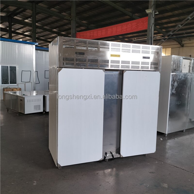 Blast Freezer Manufacturer - OEM/ODM Industrial Stainless Steel Fish