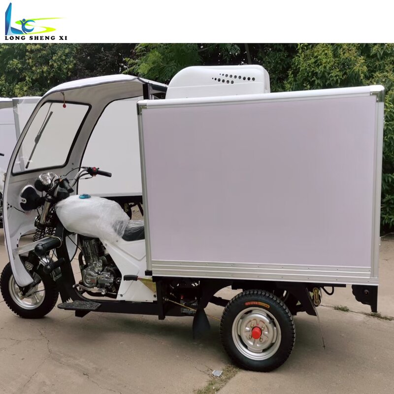 Cooling Tricycle Manufacturer - OEM/ODM Gasoline Three Wheel Cargo