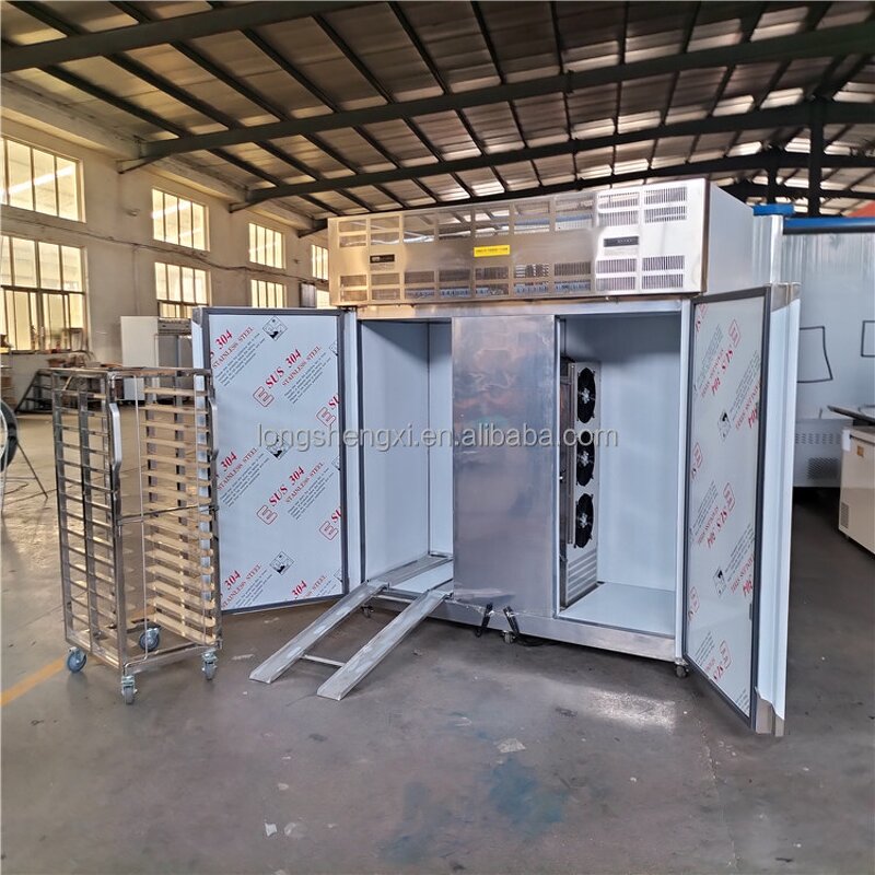 Blast Freezer Manufacturer - OEM/ODM Industrial Stainless Steel Fish
