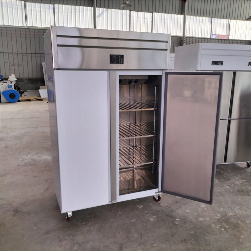 Stainless Steel Freezer Manufacturer - OEM/ODM 2-Door Vertical 220V/110V