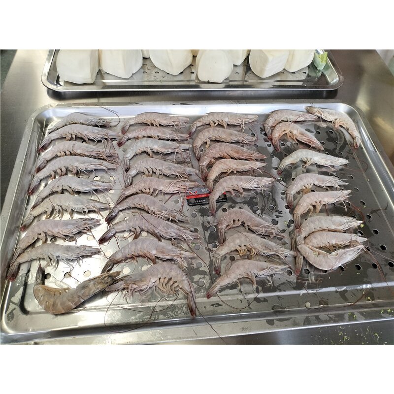 Blast Freezer Manufacturer - OEM/ODM Ultra Low Portable Stainless