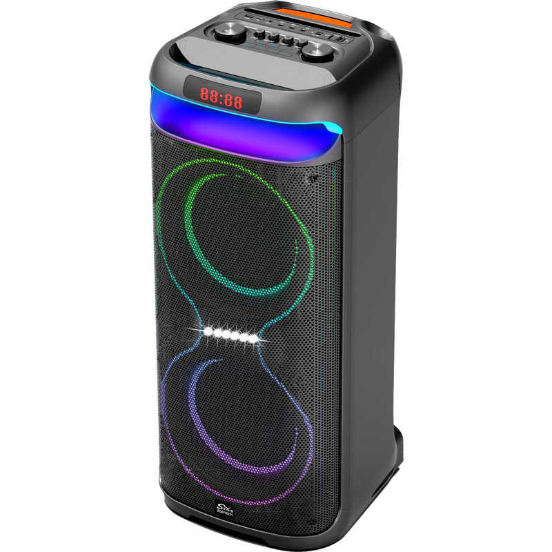 Portable Speaker Supplier - 10 Inch Dual Channel Outdoor Party Speaker