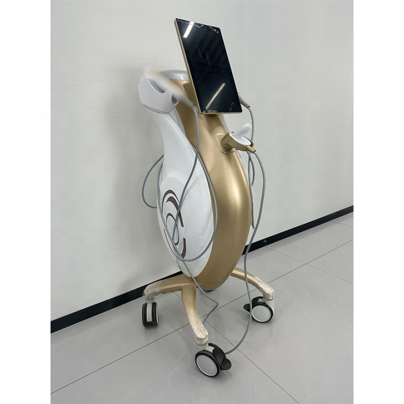 RF EMS Machine - OEM 25D Home Use System Factory