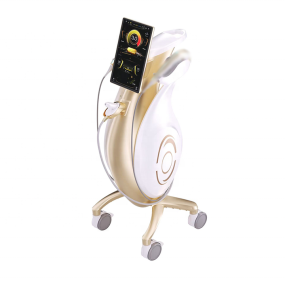 Portable RF Machine - OEM Salon Use Device Supplier