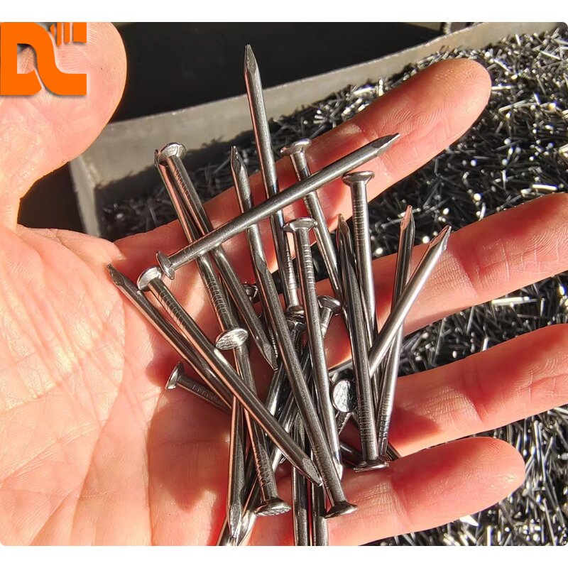 Construction Nail Factory - OEM Q195 Iron Common Nail