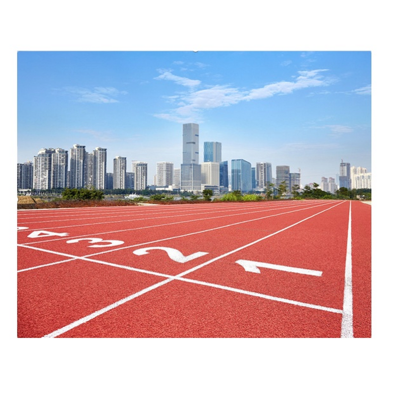 Synthetic Rubber Runway Factory - Prefabricated Surface Carpet Athletic
