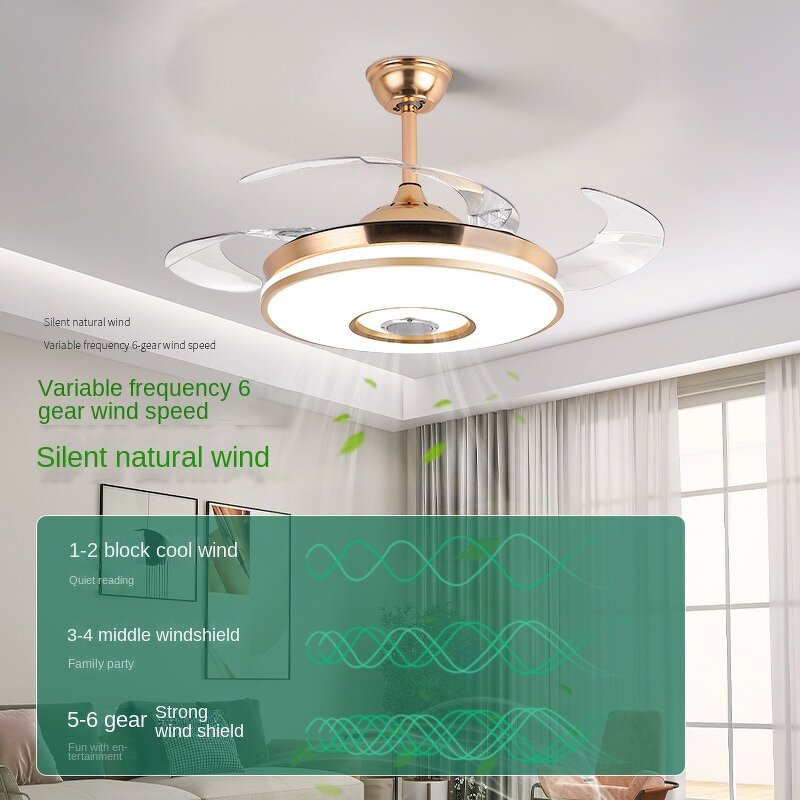 Ceiling Fan Factory - Nordic Style Invisible Smart Control Chandelier