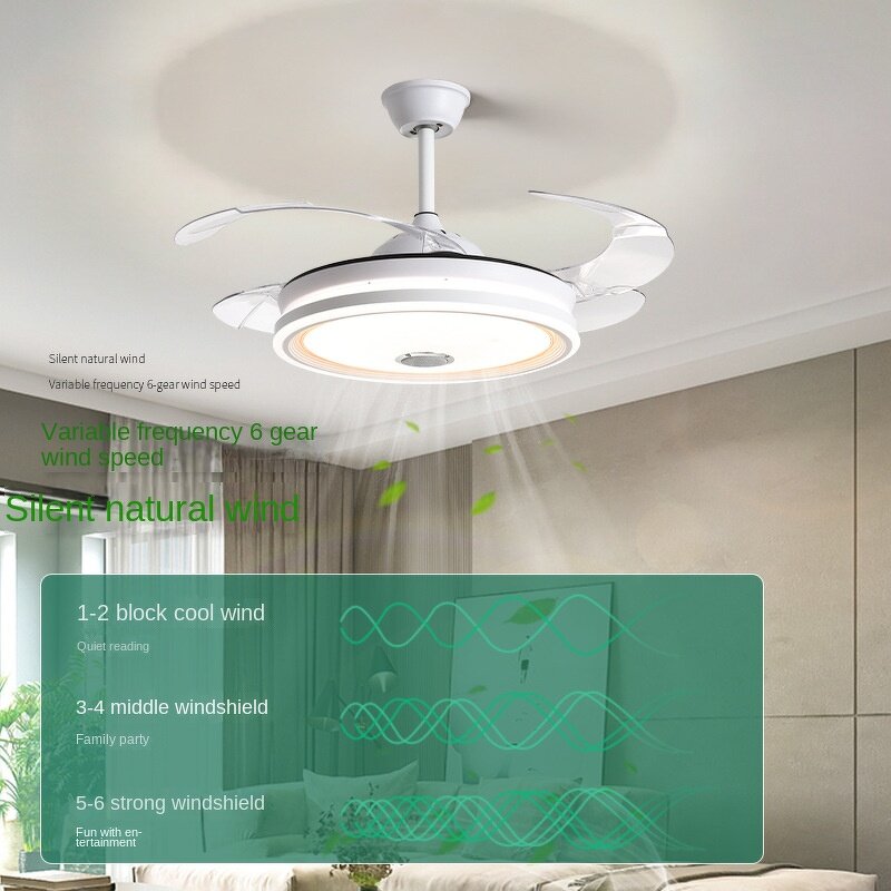 Ceiling Fan Lamp Manufacturer - Music LED Light AC Invisible Design