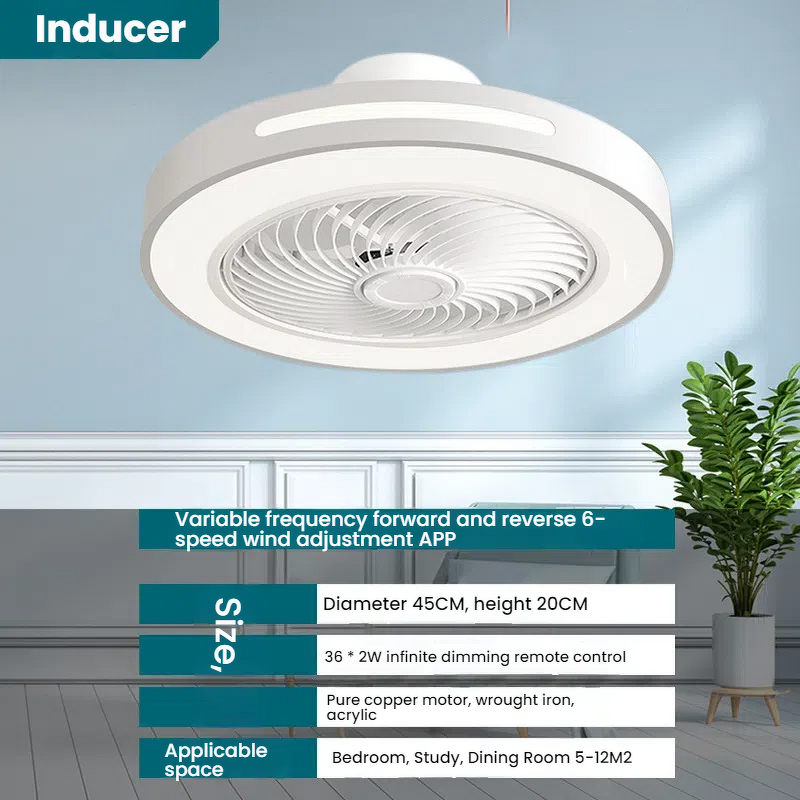 Ceiling Fan with Light Factory - Modern 3-Blade LED DC Motor Dimmable Remote