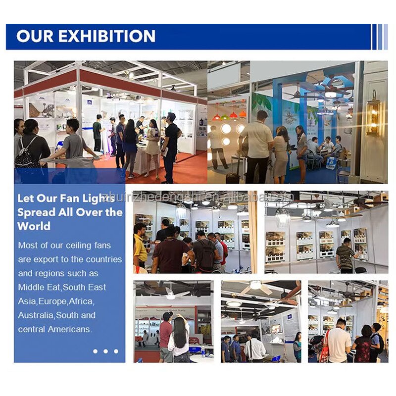 LED Ceiling Fan Light Factory - Mute Invisible Iron Chandelier Decorative