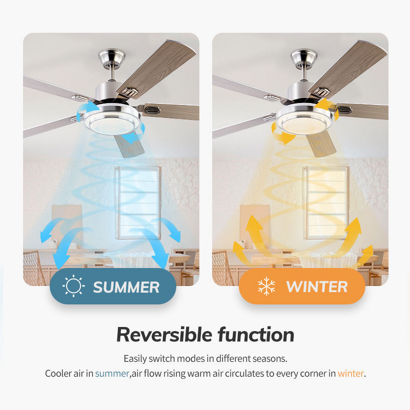 LED Ceiling Fan Light Factory - 42 Inch DC Motor Stainless Steel 5 Blades