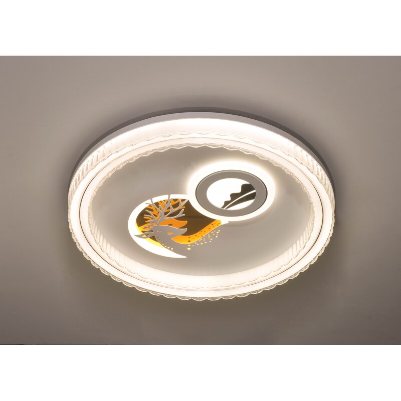 LED Ceiling Light Manufacturer - Minimalist Crystal Acrylic Switch Surface