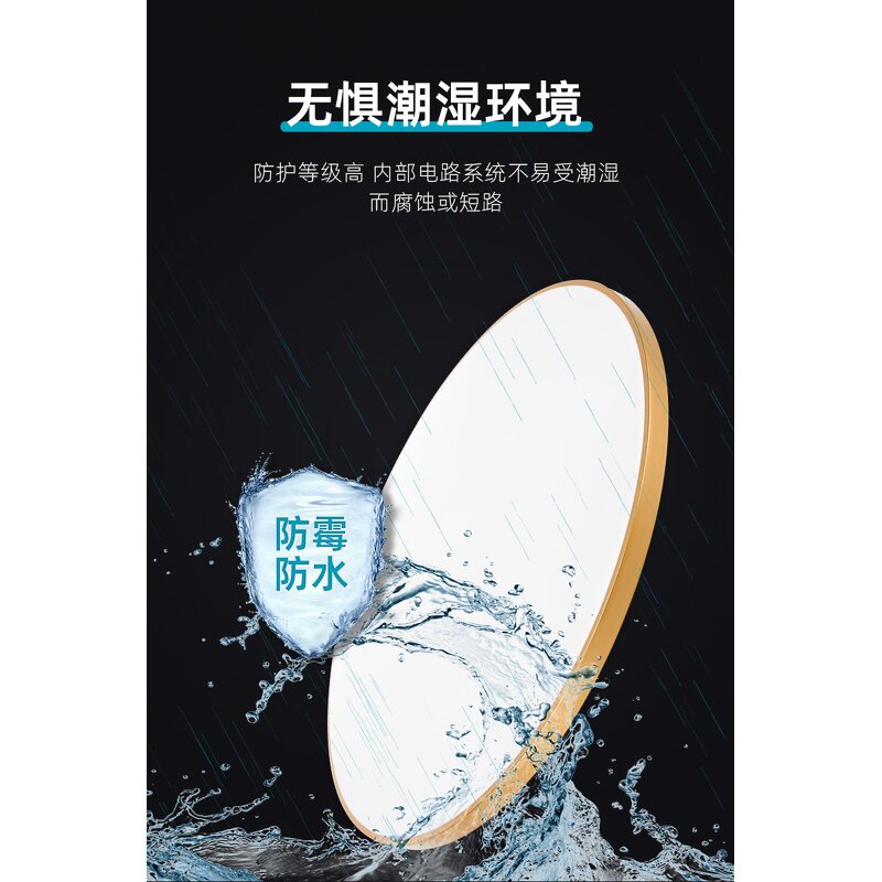 LED Ceiling Light Factory - Modern PVC Waterproof Fog Insect Proof