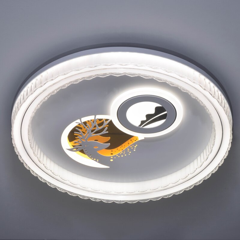 LED Ceiling Light Manufacturer - Minimalist Crystal Acrylic Switch Surface