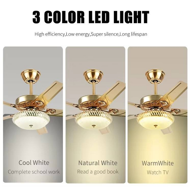 LED Ceiling Fan Manufacturer - Modern 42 Inch Silent Metal Kit Classic