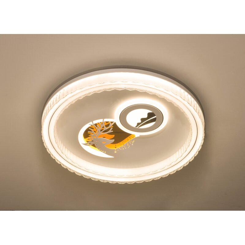LED Ceiling Light Manufacturer - Minimalist Crystal Acrylic Switch Surface
