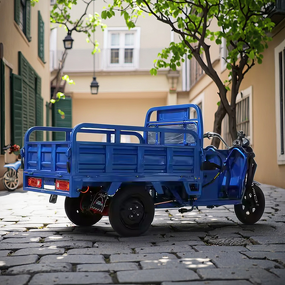 Electric Trike Factory - OEM 3 Wheel Motorized Cargo Trike