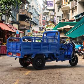 Electric Tricycle Factory - OEM 2025 60V Motorized Cargo