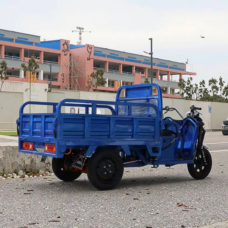 Electric Tricycle Factory - OEM 2025 60V Motorized Cargo