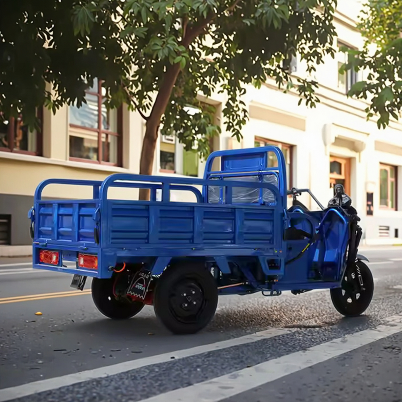 Electric Trike Factory - OEM Wholesale 3 Wheel Cargo Trike