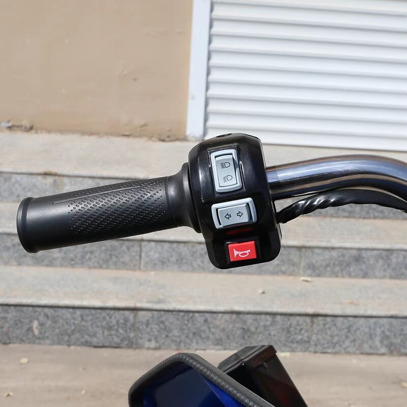 Electric Tricycle Factory - OEM 2025 60V Motorized Cargo