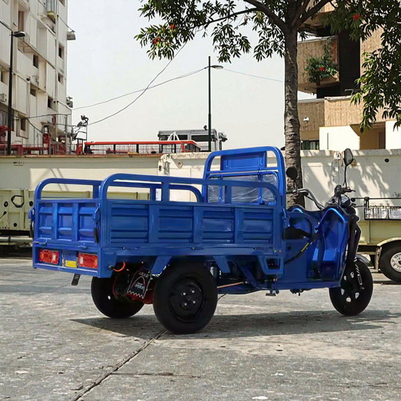 Electric Cargo Tricycle Factory - OEM Summer Hot Selling Dump