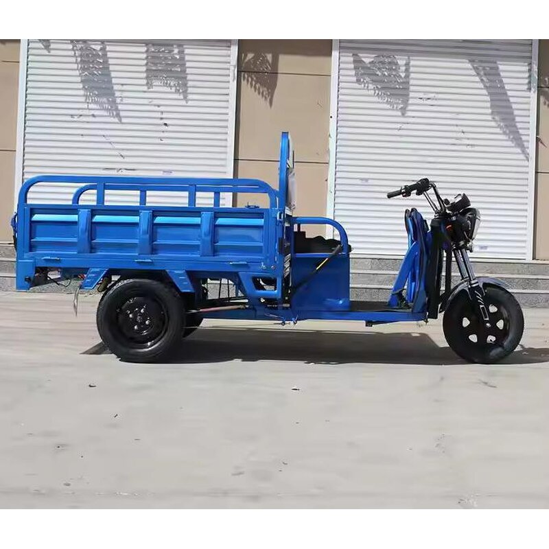 Electric Motorcycle Factory - OEM 3 Wheel Tricycle for Adults