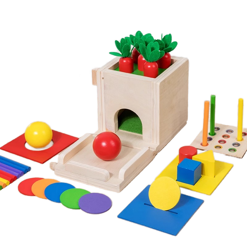 Wooden Toys Factory - OEM 5 in 1 Carrot Harvest Game Kit