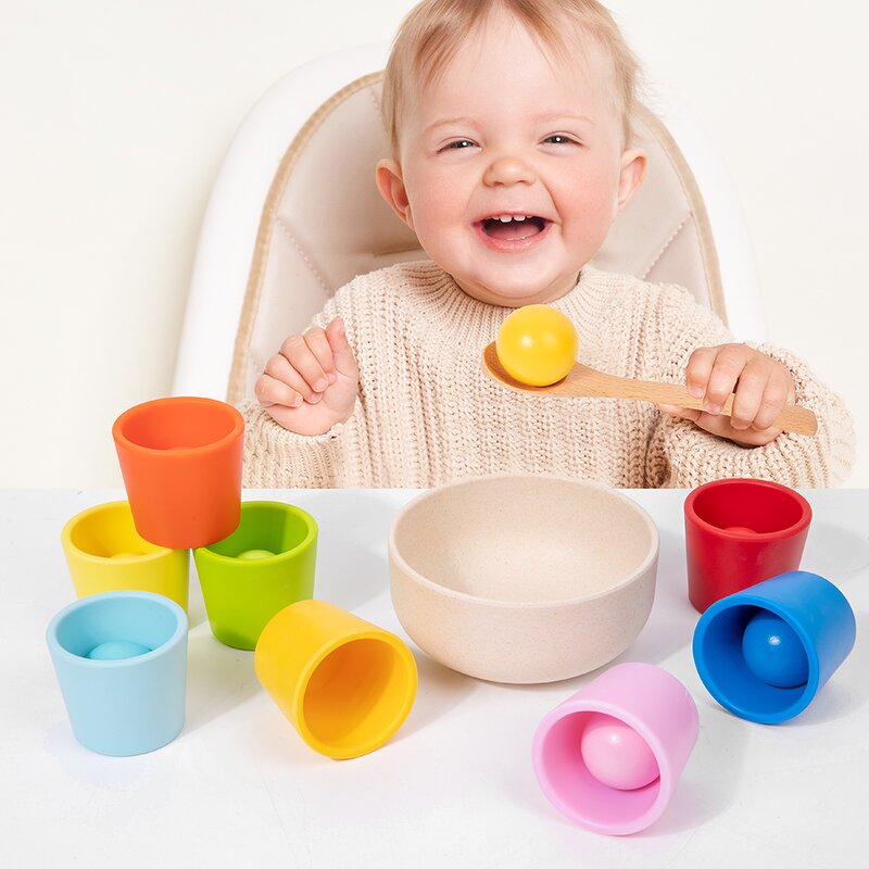 Montessori Toys Factory - OEM Ball and Cup Sorting Game