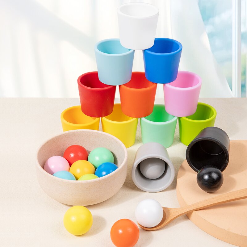 Montessori Toys Factory - OEM Ball and Cup Sorting Game