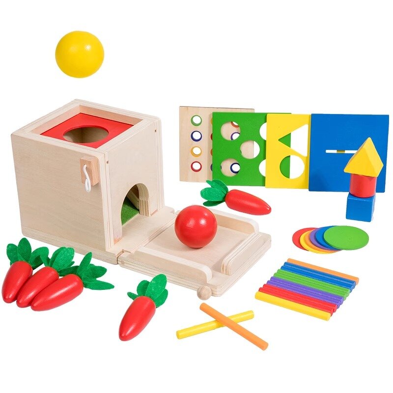 Wooden Toys Factory - OEM 5 in 1 Carrot Harvest Game Kit