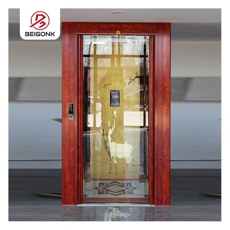 Home Elevator Factory - OEM 200kg Hydraulic Residential