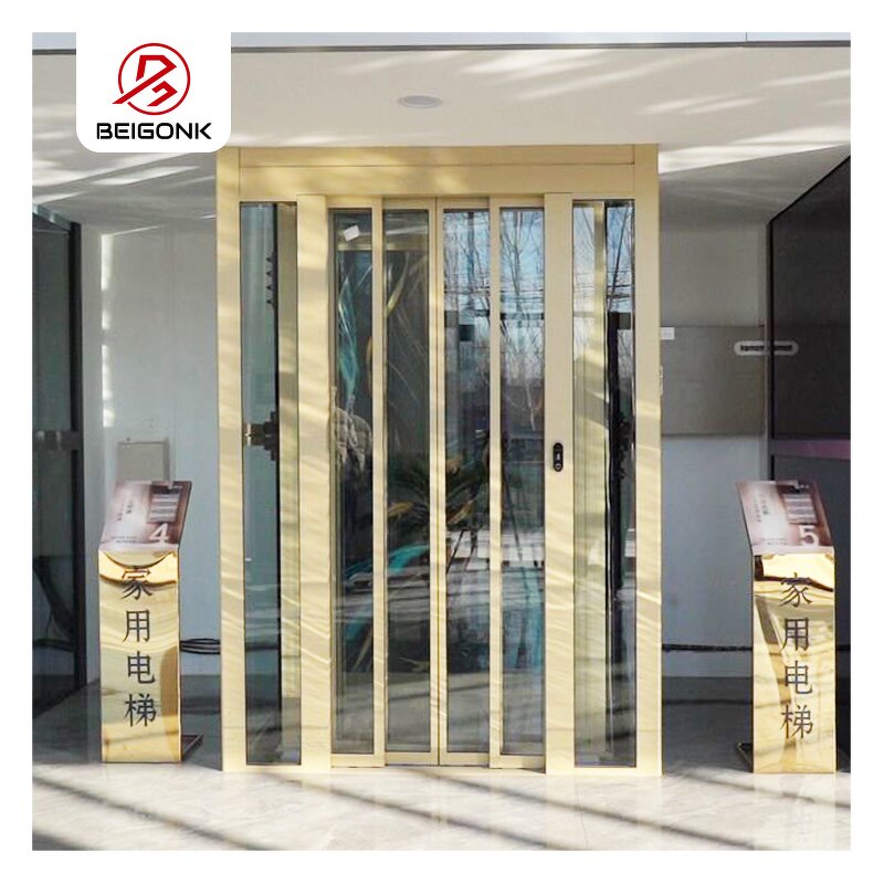 Home Elevator Factory - OEM 200kg Hydraulic Residential