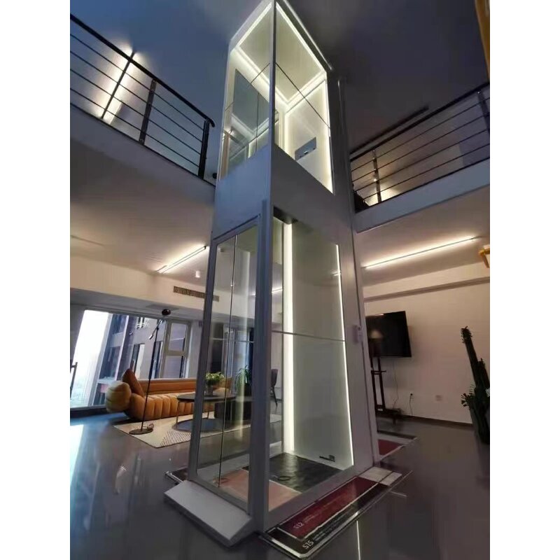 Home Elevator Factory - OEM 2-3 Floor Small Vacuum