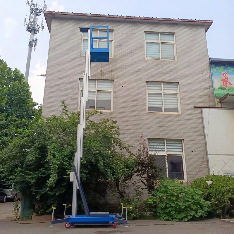 Electric Ladder Factory - OEM 12M Telescopic Vertical