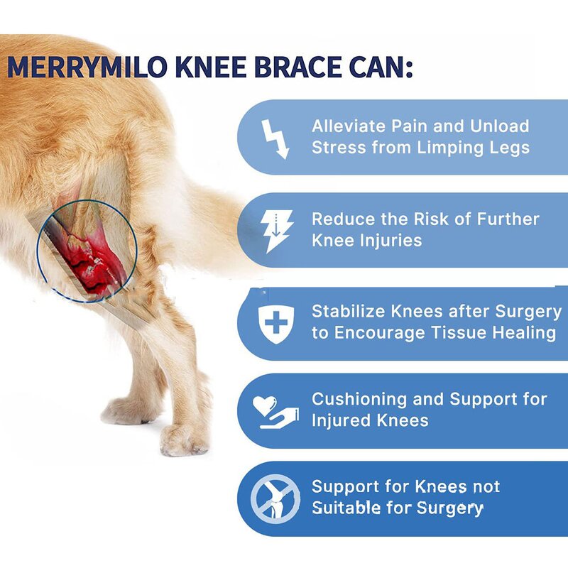 Pet Grooming Hair Bows Manufacturer - Mix Colours Decorate Rubber Bands