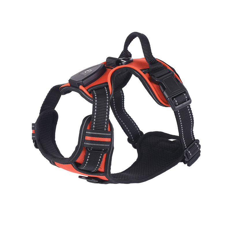 Pet Necklace Manufacturer - Cute Pearl Whimsical Charms Adjustable