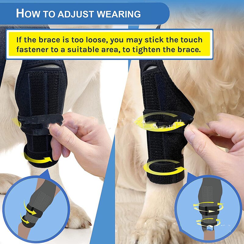 Pet Grooming Hair Bows Manufacturer - Mix Colours Decorate Rubber Bands