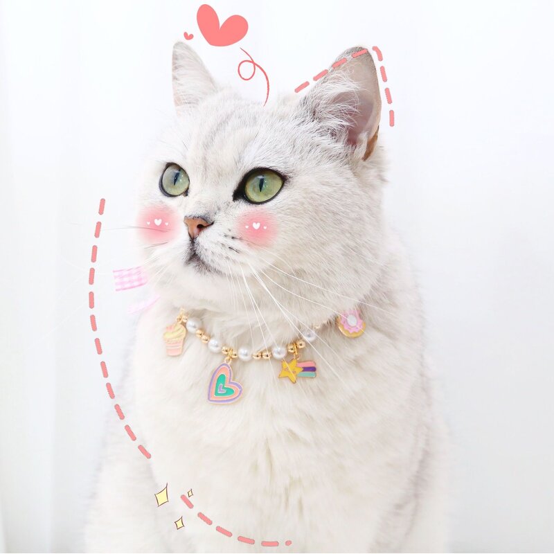 Pet Accessories Manufacturer - Cute Cat Dog Pearl Bow Ties Jeweled