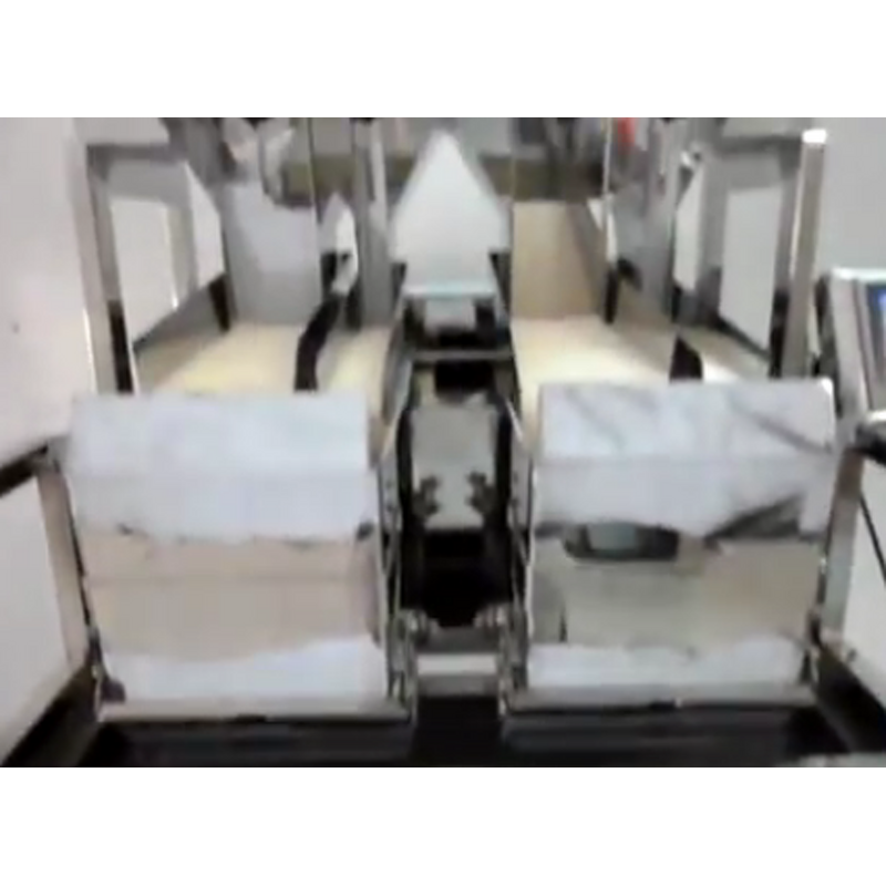 Linear Weigher Manufacturer - 2 Head Linear Scale for Rice